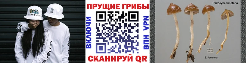 Галлюциногенные грибы ЛСД  Купить  Покровск 